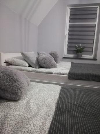 u Ptaka Apartment Podgorzyn Bagian luar foto