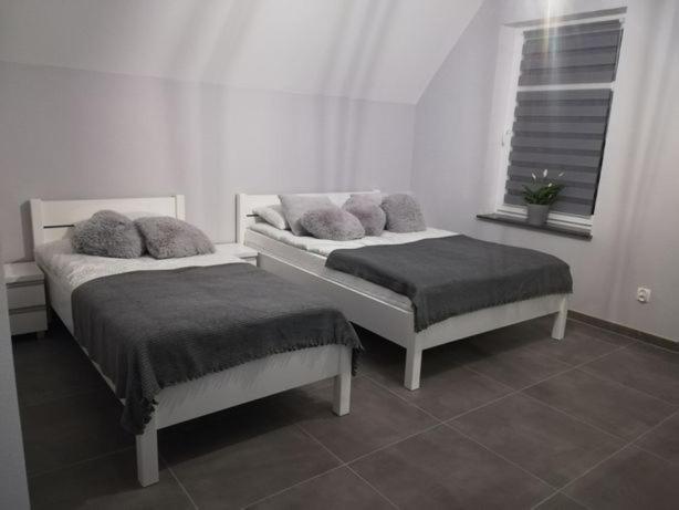 u Ptaka Apartment Podgorzyn Bagian luar foto