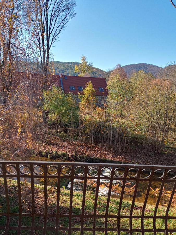 u Ptaka Apartment Podgorzyn Bagian luar foto